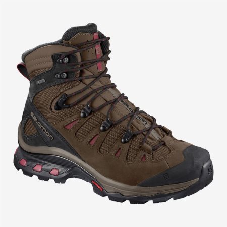 Scarpe Trekking Salomon QUEST 4D 3 GTX W Donna Marroni IT 3-E43